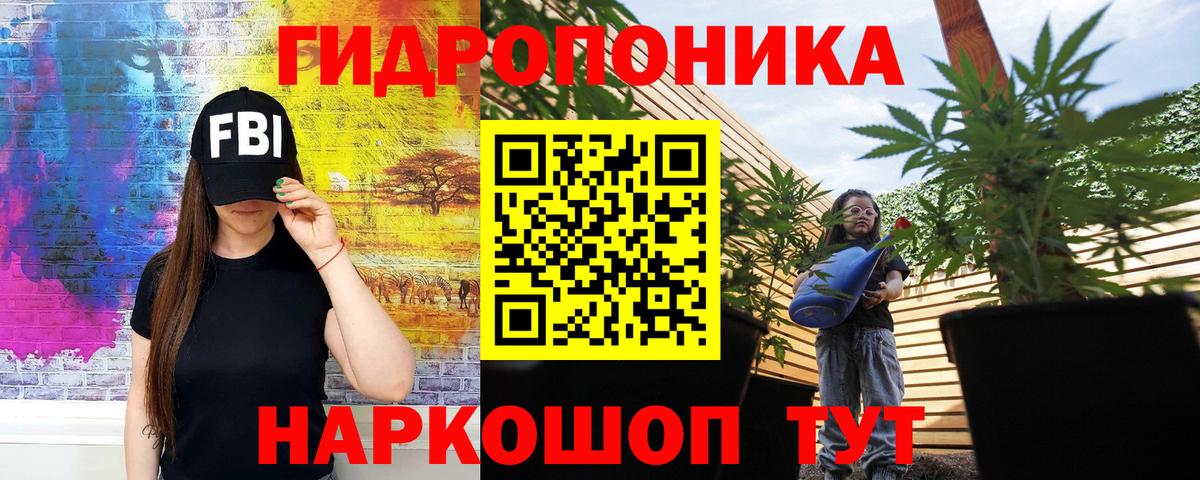 МАРИХУАНА ГИДРОПОН Сальск